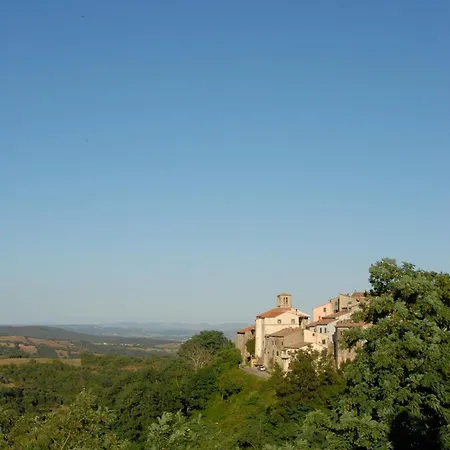 Morelliana4rooms Affittacamere Scansano